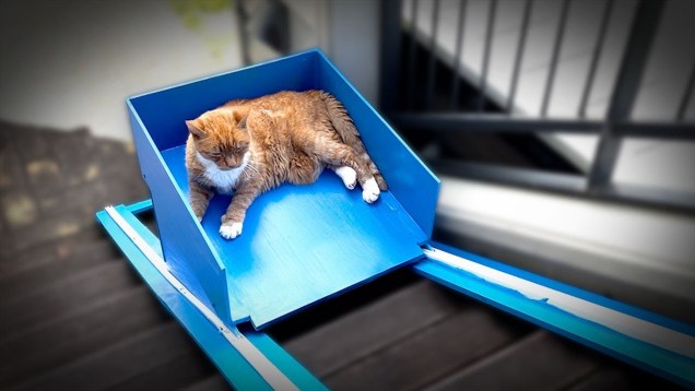 A cat lies down in a blue platform attached to an incline leading up a set of stairs