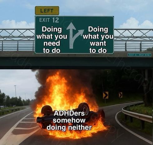 Burning car with "adhders doing neither" under a roadsign with "<-what you need to be doing : what you want to be doing->"