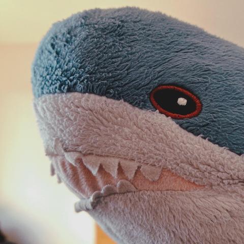 English: A close-up of a plush blåhaj, featuring a soft blue and white „fur“, with friendly, prominent eyes and stitched teeth.

Deutsch: Nahaufnahme eines Plüsch-Blåhaj mit einem weichen blau-weißen „Fell“, freundlichen markanten Augen und Zähnen.