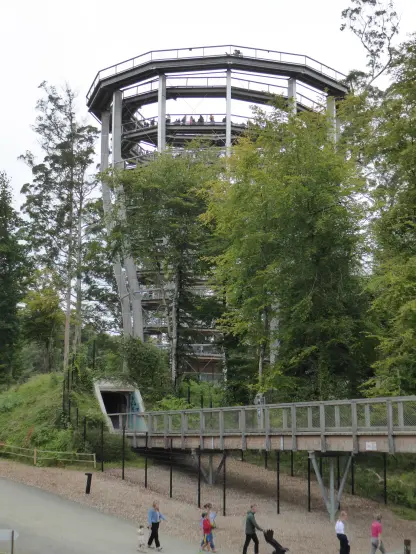 Large spiral structure among trees.