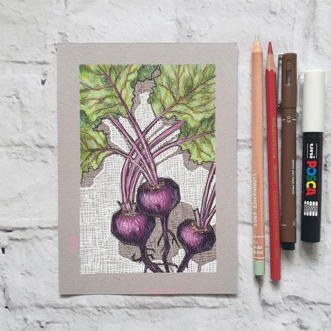 A small original drawing of purple beetroot with stalks and green leaves. The drawing is on grey toned pastel paper.
An original art work
Colour pencil and mixed media on acid free toned artist paper
5 by 7 inches (12.7 by 17.8 cm).
Sold unframed