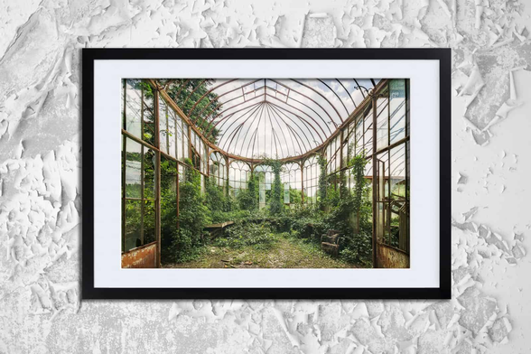 photo of old greenhouse overgrown with plants. It is a framed print