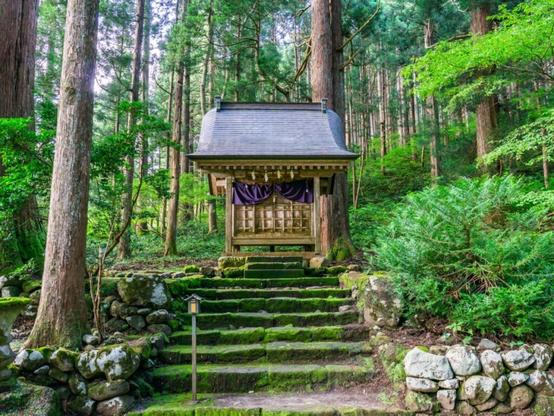好き＆行ってみたい「富山県の森林浴スポット」ランキング！ 2位「立山（雄山）」を抑えた1位は？【2025年調査】 - All About ニュース
