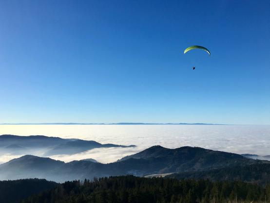 Ein Paraglider mit einem gelb-grünen Schirm schwebt hoch am blauen Himmel über einer weiten Landschaft. Unter ihm breitet sich ein Meer aus weißen Wolken aus, das wie eine geschlossene Decke wirkt. Dunkel bewaldete Berggipfel ragen aus den Wolken heraus und bilden sanfte Silhouetten in verschiedenen Ebenen der Tiefe. Im Vordergrund sind dichte Wälder zu erkennen, während am Horizont ferne Bergketten schemenhaft sichtbar sind.