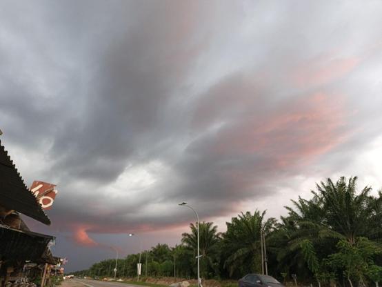 Images of a sunset sky with clouds, palm trees, and a road, along with a selfie.