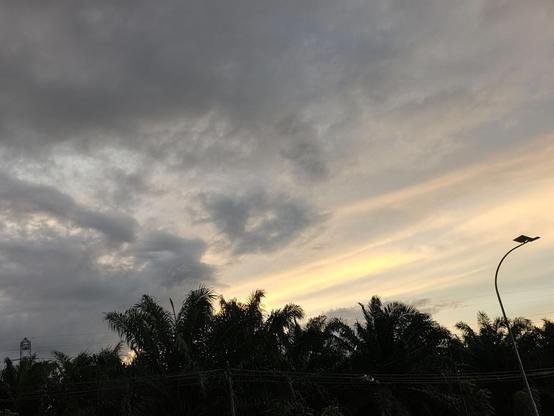 Images of a sunset sky with clouds, palm trees, and a road, along with a selfie.