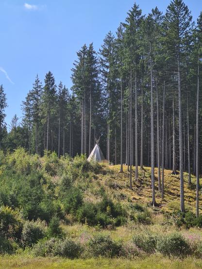 Indianer im Pfaffenwinkel ? Nähe Steingaden, im Wald. In Bayern.