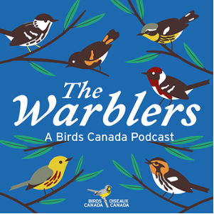 The Warblers Podcast logo - which is a blue square with a scattering of warbler illustations and text The Warblers: A Birds Canada Podcast