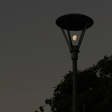 Dark sky with a silhouetted street lamp and trees. The lamp frames a waxing moon (in the southern hemisphere), making it look like the light bulb for the lamp.