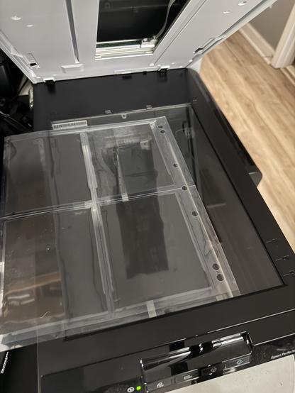 Four 4x5 negatives in a negative sleeve on a flatbed scanner