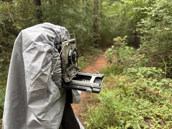 A Graflex Crown Graphic on its tripod, lens out and dark cloth attached, ready to vastly overexpose a picture of an old truck