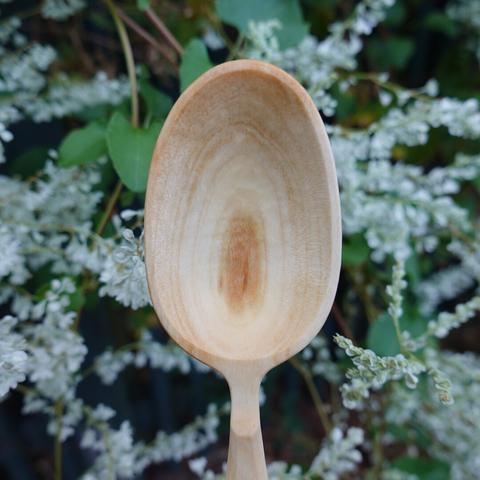 Wooden spoon bowl