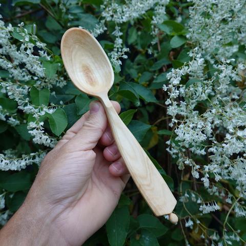 Wooden spoon held in front of flowers