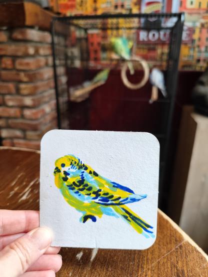 Dessin aux feutres de perruche devant une cage avec plusieurs perruches, dans un bar à Bruges