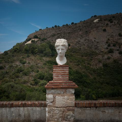 Portrait of a statue, just the head