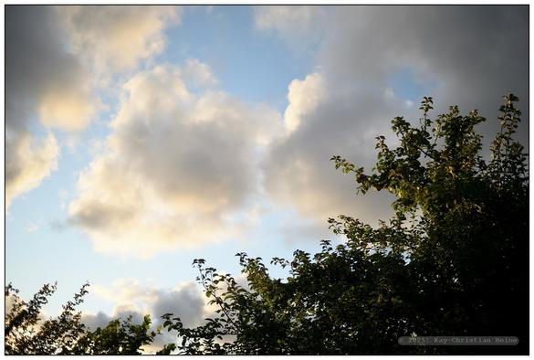Blauer Himmel mit lockeren, weiß-grauen, von der aufgehenden Sonne leicht rötlich-orange gefärbten  Wolken über grünen Baumkronen.