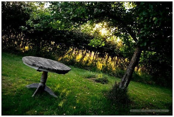 Runder, verwitterter Holztisch auf grünem Rasen unter den überhängenden Ästen eines dicht belaubten Apfelbaumes; im Hintergrund eine im unteren Bereich lichte Hecke, durch die golden die tiefstehende Morgensonne scheint und schmale Lichtstreifen auf den Rasen neben dem Tisch zeichnet. Insgesamt dunkle, geheimnisvolle Stimmung ganz in grün.