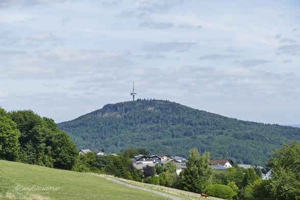 Blick auf den bewaldeten Dünsberg. Hier sollte eigentlich der Aussichtstturm im Vordergrund stehen, allerdings wird der Blick auf den wesentlich größeren Fernmeldeturm links neben dem Aussichtsturm gelenkt.