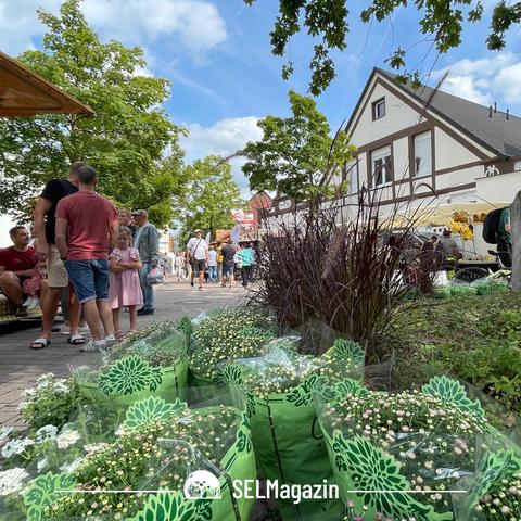 Stephanusfest und Hollandmarkt in Selm-Bork