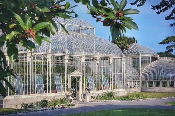 A large, ornate glasshouse with a curved, ribbed roof stands majestically against a clear blue sky. The structure is made of white-painted metal frames and numerous glass panels, with a smaller, domed section attached to the side. Lush green leaves from a nearby tree frame the top and left of the image, and a paved path leads to the glasshouse's open doorway. There are flowerbeds with a variety of small plants and flowers in front of the building, and a manicured lawn to the right.