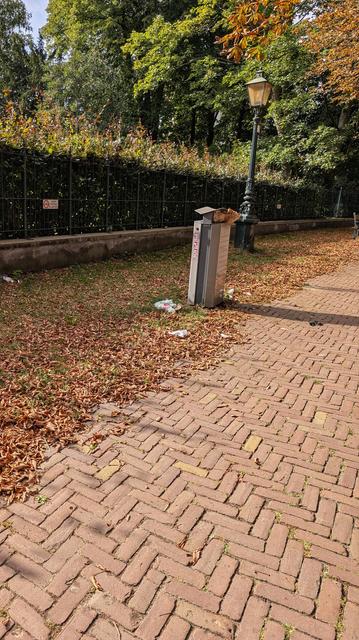 Brown pavement, sides littered with brown dry leaves, trees in the background also have brown green leaves; in the middle of the image a grey brown litter bin.