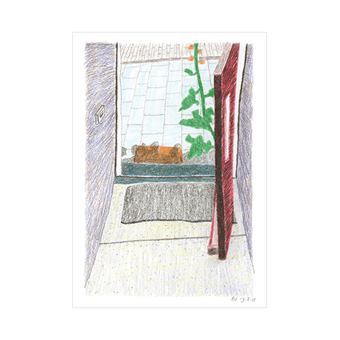 Nieuwe tekening | New drawing.

"Bladeren van de stokroos" | "Leaves of the Hollyhock", kleurpotlood | coloured pencil, 21x15 cm.