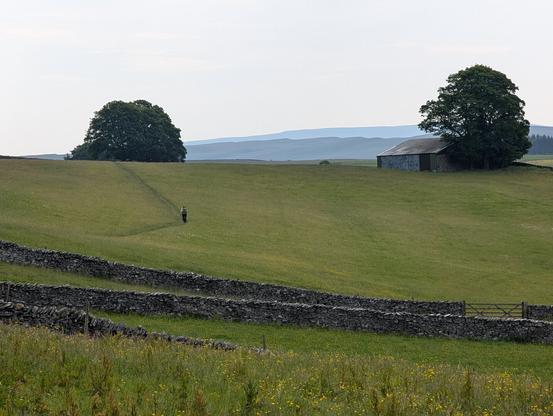 Photo of farm field. Two stone walls cross in the foreground. Two trees and a farm building top a slight rise. A hiker walks away from us up the rise on the left. A range a higher hills is seen in the haze in the distance. Early morning.