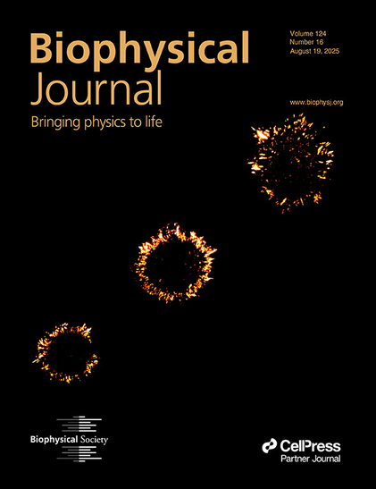 Cover of the Biophysical Journal issue.