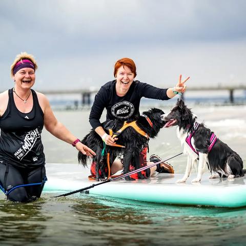 Zwei Frauen mit den Hunden auf dem SUP, eine Frau kniet auf dem SUP, die andere steht im Wasser.