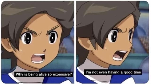 Two panels of an anime cartoon character speaking. Caption 1: "why is being alive so expensive?" Caption 2: "I'm not even having a good time"