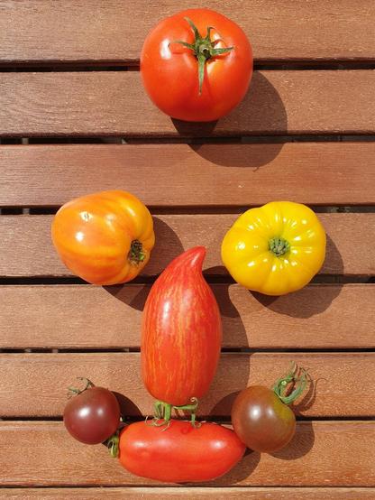 Unterschiedliche Form und Farbe von Tomaten