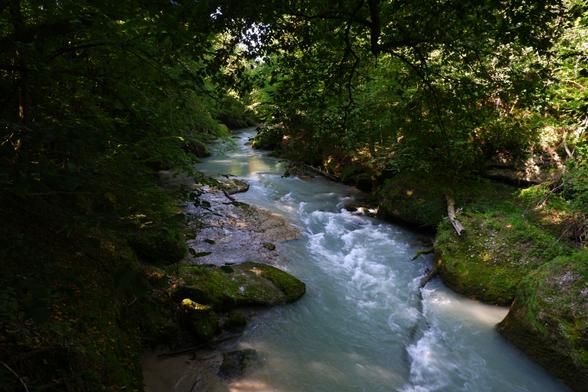 Foto der Erlaufschlucht