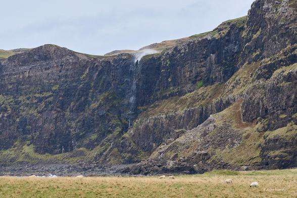 A waterfall, the gusting wind is blowing water back onto the top of it.  The rock face has patches of green growth on it, and pasture on the top.  The green pasture below has eight sheep scattered around it.  The sky is mostly cloudy.
