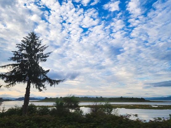 A color photo of a watery landscape with a spindly pine that looks almost like a palm tree in the left. Shot from a moving car so a little blurry in the foreground. The sky is blue but covered with clouds and deepening to evening; the middle ground is a wide wide river and islands and in the distance, hills.