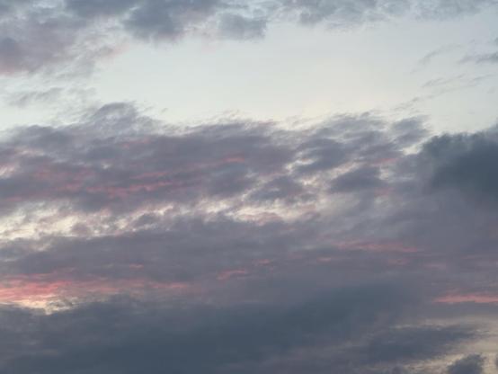 Ciel rose et nuageux