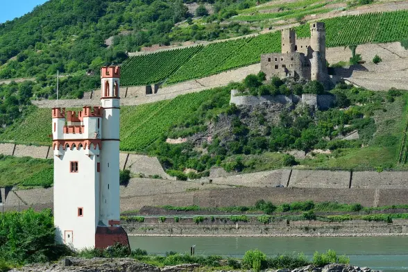 The image features a scenic landscape along a river, likely the Rhine River, with vineyards on the hillsides. In the foreground, there is a white tower with red accents, and in the background, you can see the ruins of a castle on a hillside. The setting appears lush and green, indicative of a wine-growing region. The architecture suggests a historical significance, typical of areas with a rich cultural heritage.

Image Credits: Wikimedia / Arcalino / CC BY-SA 3.0