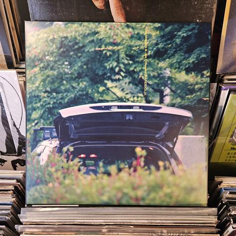 Album cover features a color photograph of the back hatch of a car open, as seen over a bush.