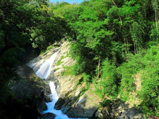 好き＆行ってみたい「高知県の森林浴スポット」ランキング！ 2位「轟の滝（津野町）」を抑えた1位は？【2025年調査】 - All About ニュース