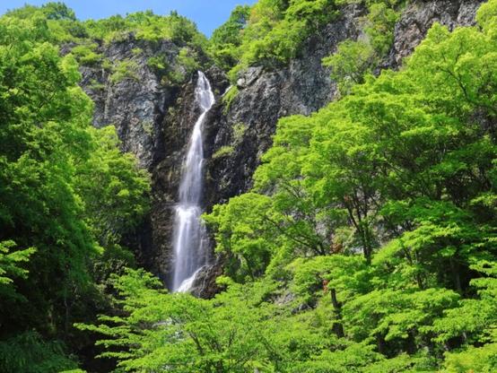 好き＆行ってみたい「香川県の森林浴スポット」ランキング！ 2位「不動の滝（綾川町）」を抑えた1位は？【2025年調査】 - All About ニュース