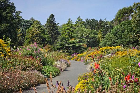 A vibrant, sun-drenched garden with a curved grey path winding through it. The path is flanked on both sides by an abundance of colourful flowers and lush green foliage. To the left, there is a variety of red, pink, and yellow flowers, while the right side is dominated by a sea of bright yellow blooms. The background is filled with a dense collection of trees, including large evergreens, under a clear blue sky. The scene is peaceful and full of life.
