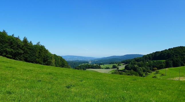 Ein Ausblick auf eine hügelige Wald- und Wiesenlandschaft unter blauem Himmel.