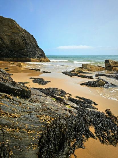 A vertical shot of a sandy beach with a large rocky cliff face on the left. The foreground is filled with wet rocks covered in dark seaweed and small barnacles. The gentle waves of the sea lap at the shore, and the sky is a clear blue with a few wispy clouds. The scene is bright and sunny, conveying a peaceful and natural mood.