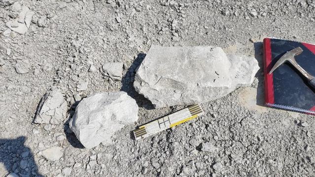 Photo shows grey powdery rock and stones together with chunks of rock in the chalk marl pit in Hannover. Researchers collected around 100 kilograms of sedimentary rock and searched for fossilized micrometeorites. They found an average of one micrometeorite per kilogram of rock. There are also tools - such as a pick and lab noebook and other tool. Image thanks to researcher Fabian Zahnow