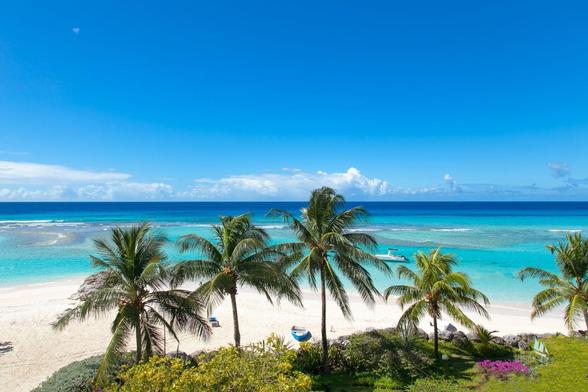 Panoramic view of Worthing Beach with shades of ocean blue, golden sands, and palm trees.
