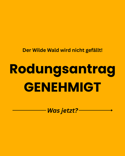 Der Wilde Wald wird nicht gefällt!
Rodungsantrag genehmigt!
Was jetzt?