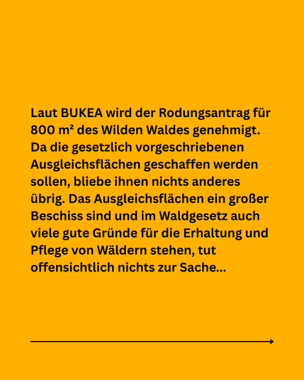 Laut BUKEA wird der Rodungsantrag für 800 m² des Wilden Waldes genehmigt. Da die gesetzlich vorgeschriebenen Ausgleichsflächen geschaffen werden sollen, bliebe ihnen nichts anderes übrig. Das Ausgleichsflächen ein großer Beschiss sind und im Waldgesetz auch viele gute Gründe für die Erhaltung und Pflege von Wäldern stehen, tut offensichtlich nichts zur Sache...