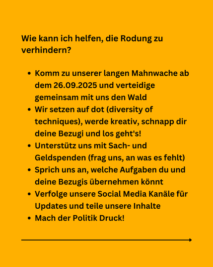 Wie kann ich helfen, die Rodung zu verhindern?

Komm zu unserer langen Mahnwache ab dem 26.09.2025 und verteidige gemeinsam mit uns den Wald
Wir setzen auf dot (diversity of techniques), werde kreativ, schnapp dir deine Bezugi und los geht's!
Unterstütz uns mit Sach- und Geldspenden (frag uns, an was es fehlt)
Sprich uns an, welche Aufgaben du und deine Bezugis übernehmen könnt
Verfolge unsere Social Media Kanäle für Updates und teile unsere Inhalte
Mach der Politik Druck!