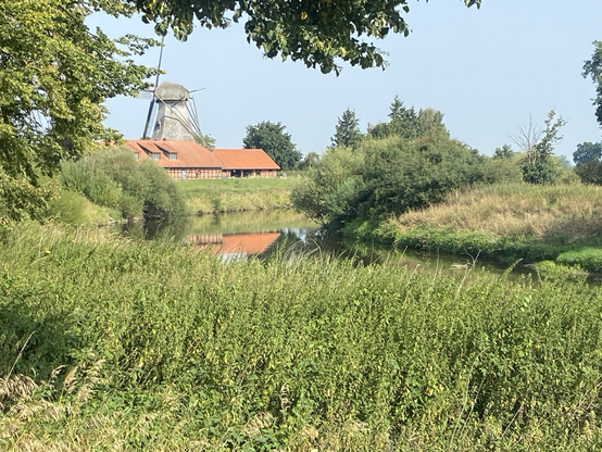 Eine Windmühle spiegelt sich am Flussufer. Ringsumher sommerliches Grün und einige Bäume.