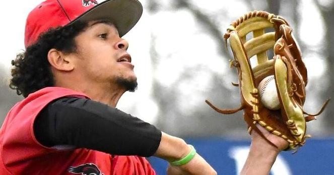 College baseball: 19 SCC graduated sophomores moving on to four-year schools | The Hawk Eye - Burlington, Iowa