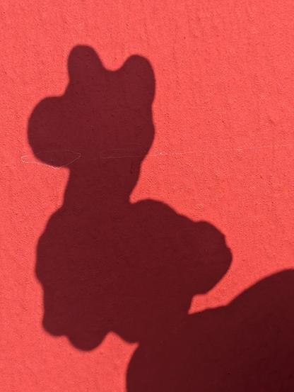 Ombre d'un sticker en forme de lama sur un mur rouge